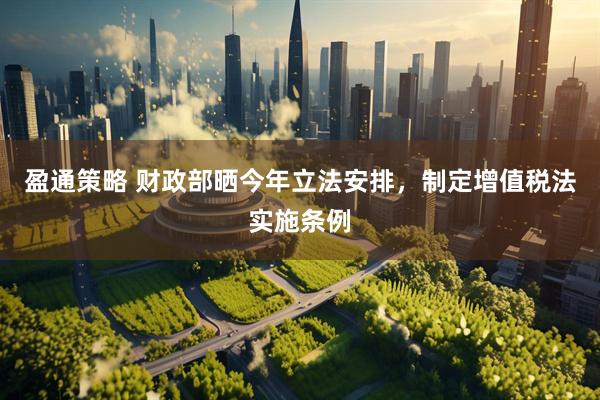 盈通策略 财政部晒今年立法安排，制定增值税法实施条例