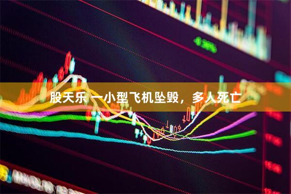 股天乐 一小型飞机坠毁，多人死亡