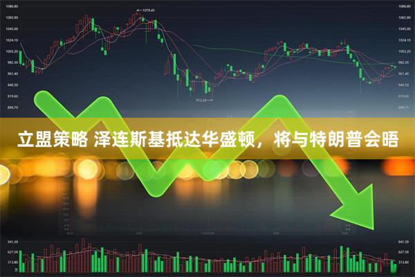 立盟策略 泽连斯基抵达华盛顿，将与特朗普会晤