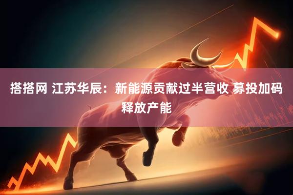 搭搭网 江苏华辰：新能源贡献过半营收 募投加码释放产能
