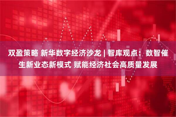 双盈策略 新华数字经济沙龙 | 智库观点：数智催生新业态新模式 赋能经济社会高质量发展
