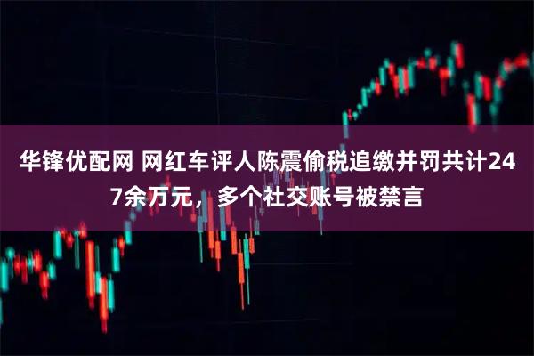 华锋优配网 网红车评人陈震偷税追缴并罚共计247余万元，多个社交账号被禁言