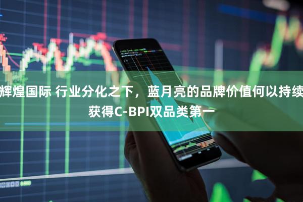辉煌国际 行业分化之下，蓝月亮的品牌价值何以持续获得C-BPI双品类第一